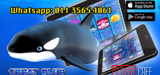 how to play great blue slot game